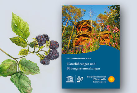 Jahresprogramm | UNESCO Biosphärenreservat Pfälzerwald-Nordvogesen